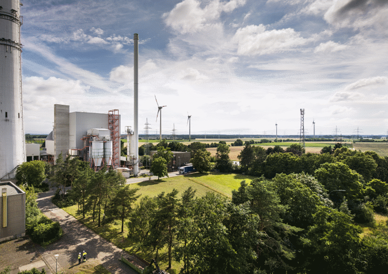 Trees in front of biomass plant