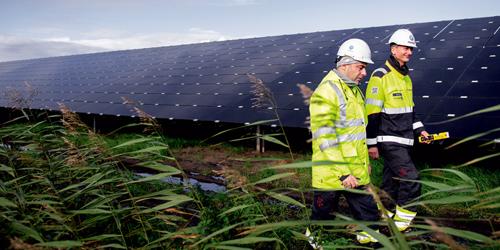 Lange Runde solar park in Emmen, The 荷兰